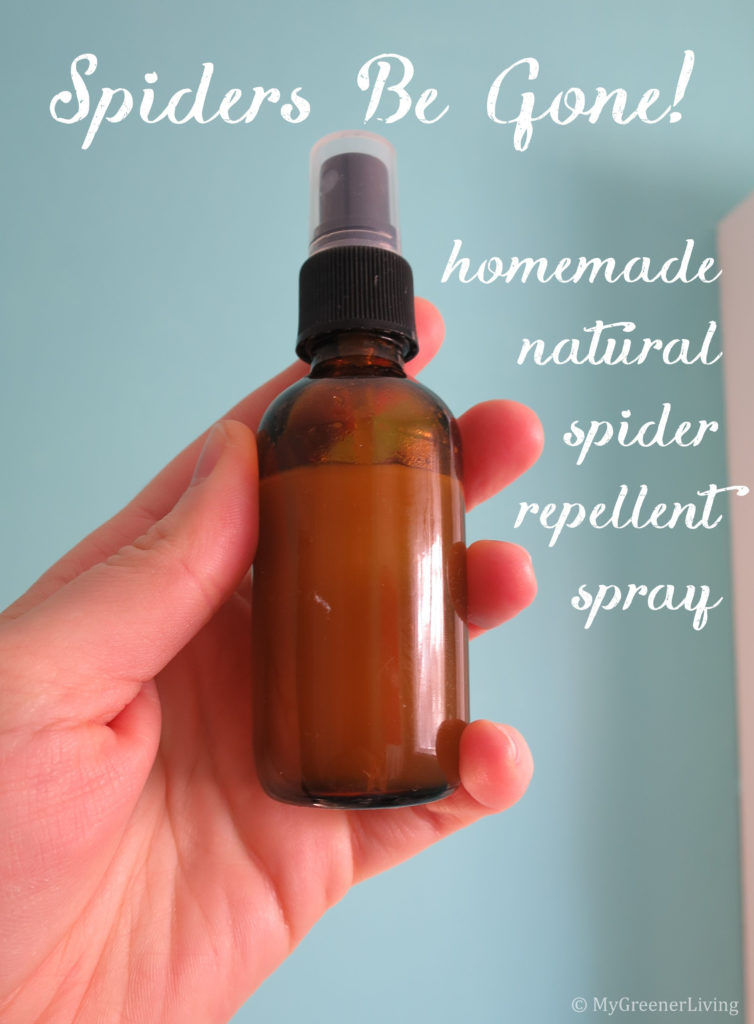 holding a bottle of homemade natural spider repellent spray